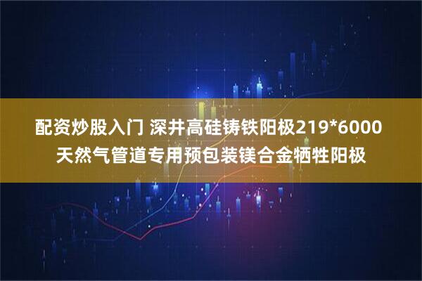 配资炒股入门 深井高硅铸铁阳极219*6000 天然气管道专用预包装镁合金牺牲阳极